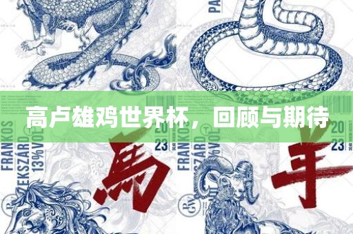 金炬实业股份有限公司高卢雄鸡世界杯，回顾与期待
