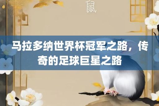 马拉多纳世界杯冠军之路，传奇的足球巨星之路金炬实业股份有限公司
