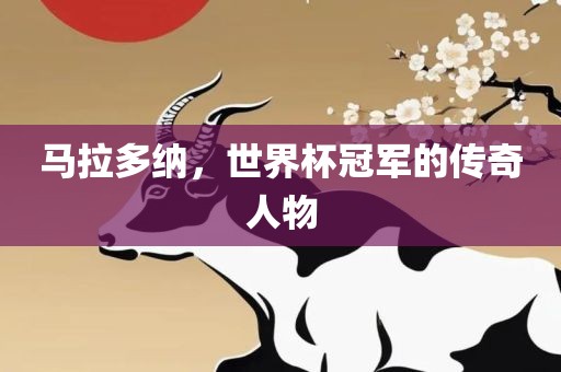 马拉多纳，世界杯冠军的传奇人物金炬实业股份有限公司