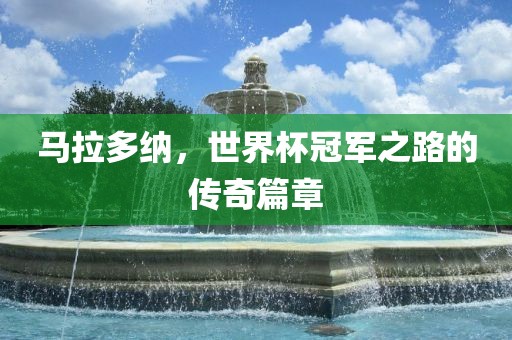 马拉多纳，世界杯冠军之路的传奇篇章金炬实业股份有限公司