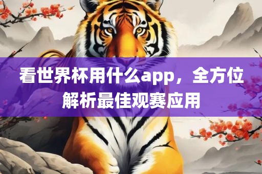 看世界杯用什么app，全方位解析最佳观赛应用金炬实业股份有限公司
