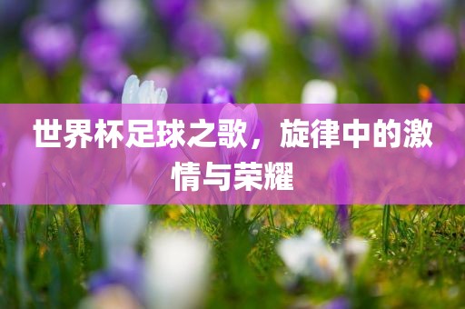 世界杯足球之歌，旋律中的激情与荣耀金炬实业股份有限公司