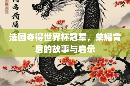 法国夺得世界杯冠军，荣耀背后的故事与启示