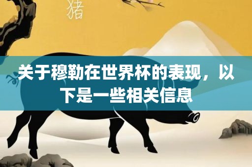 关于穆勒在世界杯的表现，以下是一些相关信息金炬实业股份有限公司