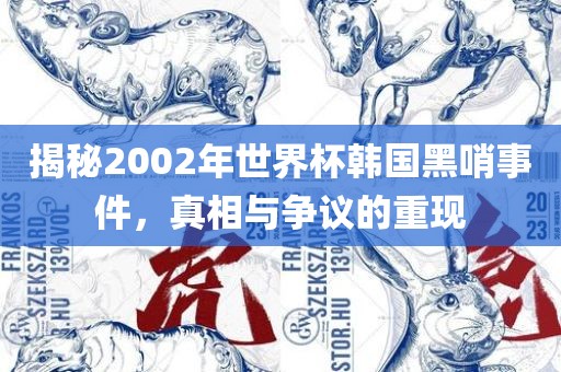 揭秘2002年世界杯韩国黑哨事件，真相与争议的重现金炬实业股份有限公司
