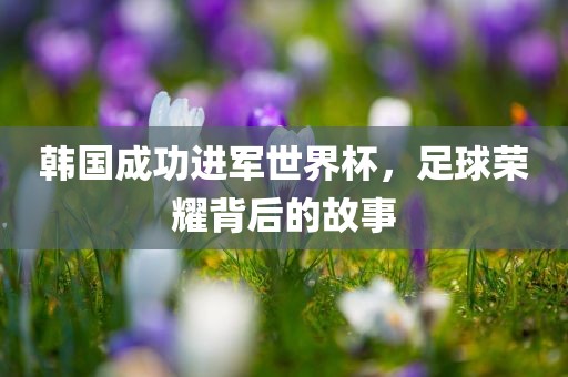 韩国成金炬实业股份有限公司功进军世界杯，足球荣耀背后的故事