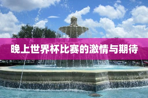 激情与期待 第2页