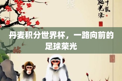 丹麦积分世界杯，一路向前的足球荣光