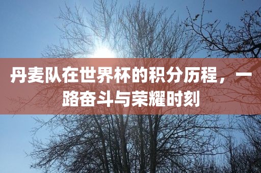 丹麦队在世界杯的积分历程，一路奋斗与荣耀时刻