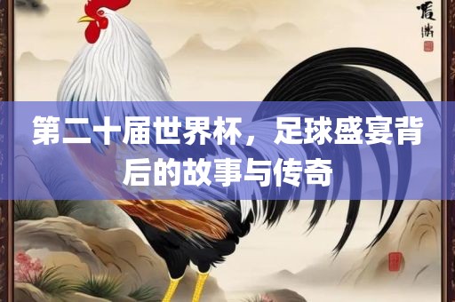 第二十届世界杯，足球盛宴背后的故事与传奇