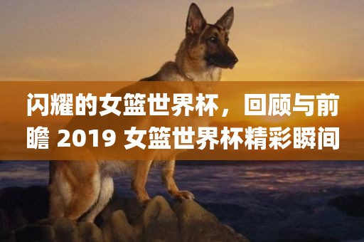 闪耀的女篮世界杯，回顾与前瞻 2019 女篮世界杯精彩瞬间