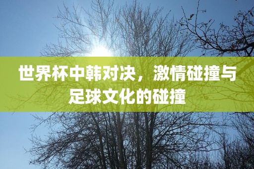 世界杯中韩对决，激情碰撞与足球文化的碰撞金炬实业股份有限公司