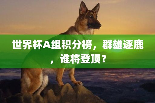 世界杯A组积分榜，群雄逐鹿，谁将登顶？金炬实业股份有限公司