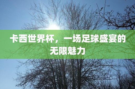 卡西世界杯，一场足球盛宴的无限魅力金炬实业股份有限公司