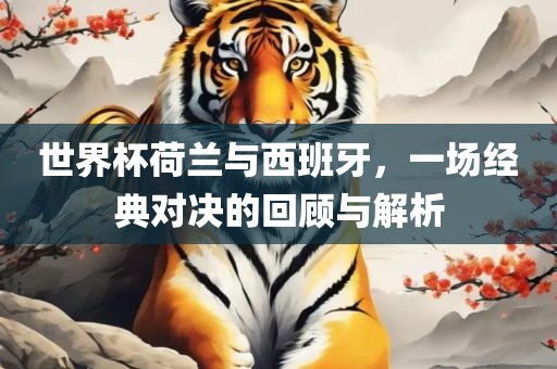 世界杯荷兰与西班牙，一场经典对决的回顾与解析