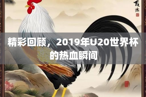 精彩回顾，2019年U20世界杯的热血瞬间