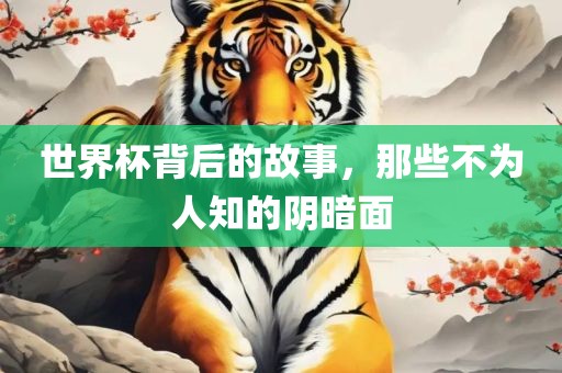世界杯背后的故事，那些不为人金炬实业股份有限公司知的阴暗面