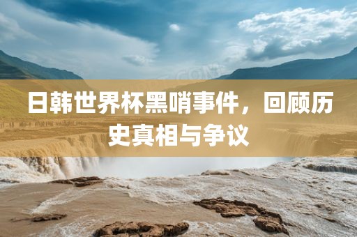 日韩世界杯黑哨事件，回顾历史真相与争议金炬实业股份有限公司