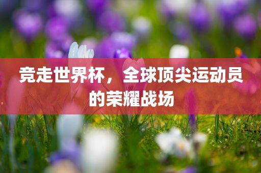 竞走世界杯，全球顶尖运动员的荣耀战场金炬实业股份有限公司
