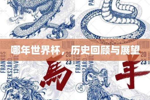 哪年世界杯，历史回顾与展望