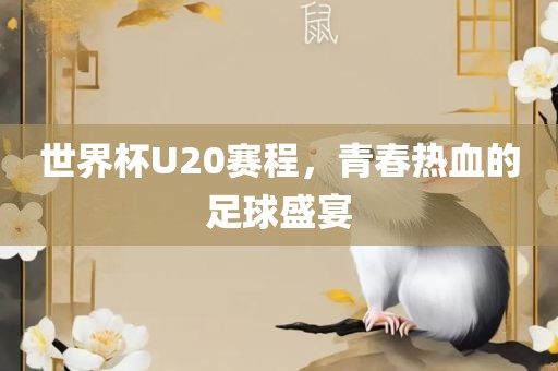 世界杯U20赛程，青春热血的足球盛宴