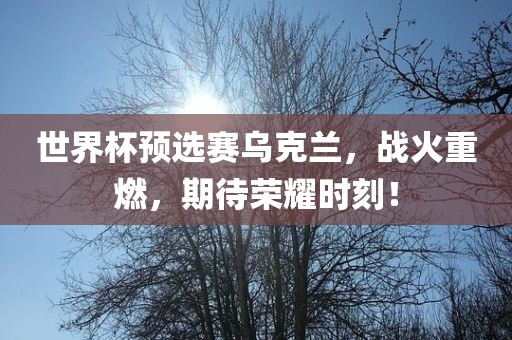 世界杯预选赛乌克兰，战火重燃，期待荣耀时刻！金炬实业股份有限公司