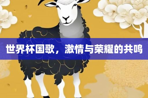 世界杯国歌，激情与荣耀的共鸣