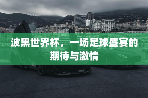 波黑世界杯，一场足球盛宴的期待与激情金炬实业股份有限公司