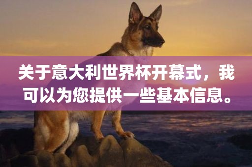 关于意大利世界杯开幕式，我可以为您提供一些基本信息。金炬实业股份有限公司