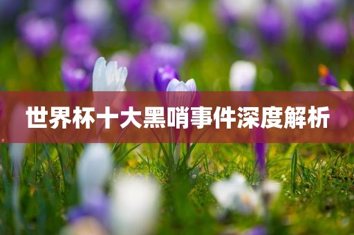 世界杯十大黑哨事件深度解析