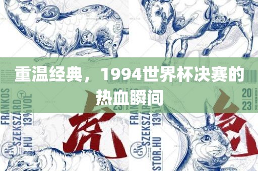 重温经典，1994世界杯决赛的热血瞬间金炬实业股份有限公司