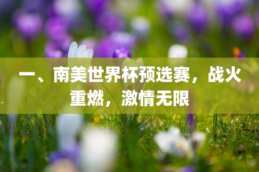 一、南美世界杯预选赛，战火重燃，激情无限