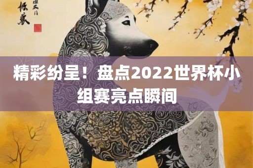 精彩纷呈！盘点2022世界杯小组赛亮点瞬金炬实业股份有限公司间