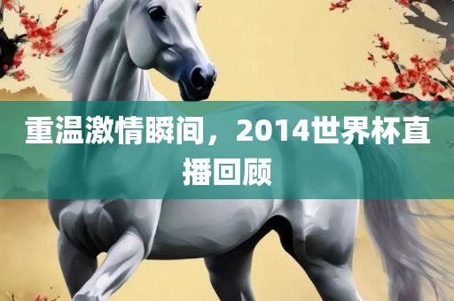 重温激金炬实业股份有限公司情瞬间，2014世界杯直播回顾