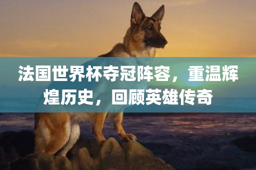 法国金炬实业股份有限公司世界杯夺冠阵容，重温辉煌历史，回顾英雄传奇