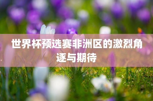 世界杯金炬实业股份有限公司预选赛非洲区的激烈角逐与期待