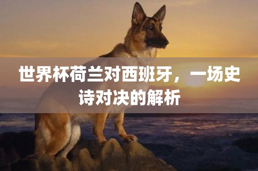 chenjiarong 第9页