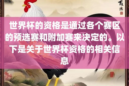 世界杯资格