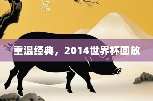 重温经典，2014世界杯回放金炬实业股份有限公司