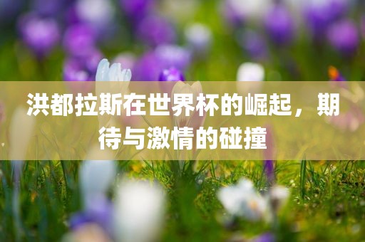洪都拉斯在世界杯的崛起金炬实业股份有限公司，期待与激情的碰撞