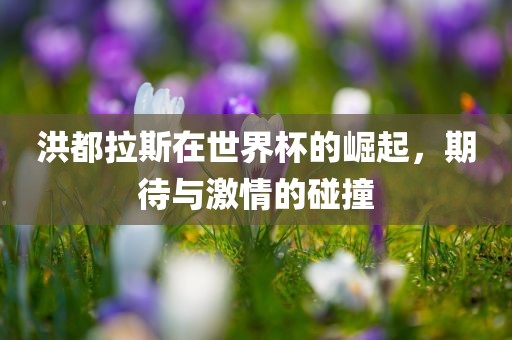 洪都拉斯在世界杯的崛起，期待与激情的碰撞金炬实业股份有限公司