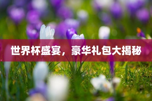 世界杯盛宴，豪华礼包大揭秘金炬实业股份有限公司