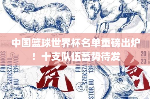 中国篮球世界杯名单重磅出炉！十支队伍蓄势待发