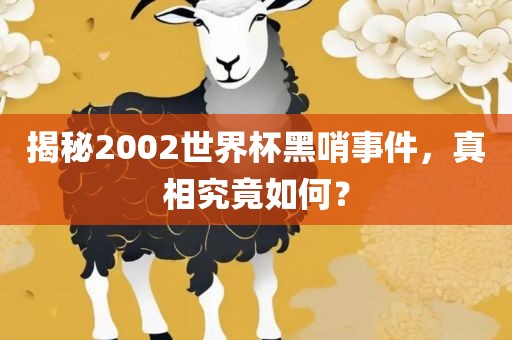 揭秘2002世界杯黑哨事件，真相究竟如何？金炬实业股份有限公司