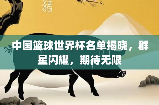 中国篮球世界杯名单揭晓，群星闪耀，期待无限