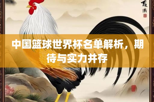 中国篮球世界杯名单解析，期待与实力并存
