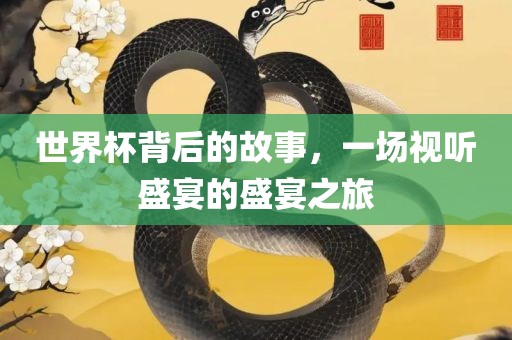 世界杯背后的故事，一场视听盛宴的盛宴之旅