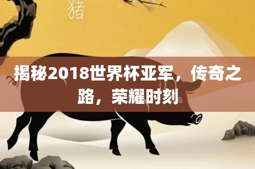 揭秘20金炬实业股份有限公司18世界杯亚军，传奇之路，荣耀时刻