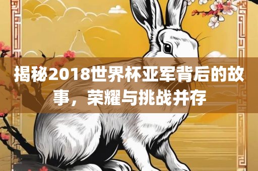 揭秘2018世界杯亚军背后的故事，荣耀与挑战并存
