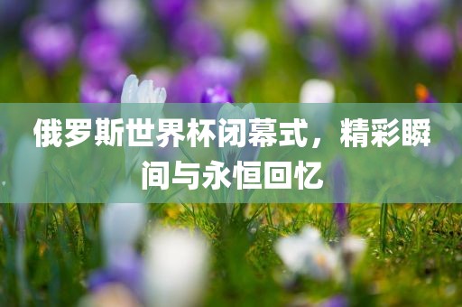 俄罗斯世界杯闭幕式，精彩瞬间与永恒回忆